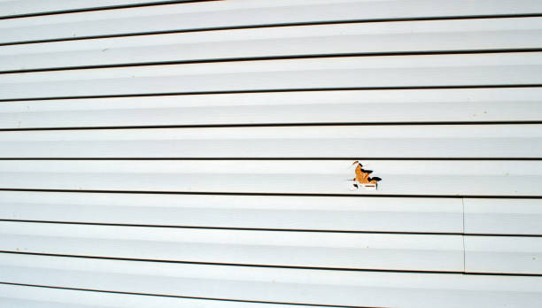 Best Brick Veneer Siding  in Milltown, NJ